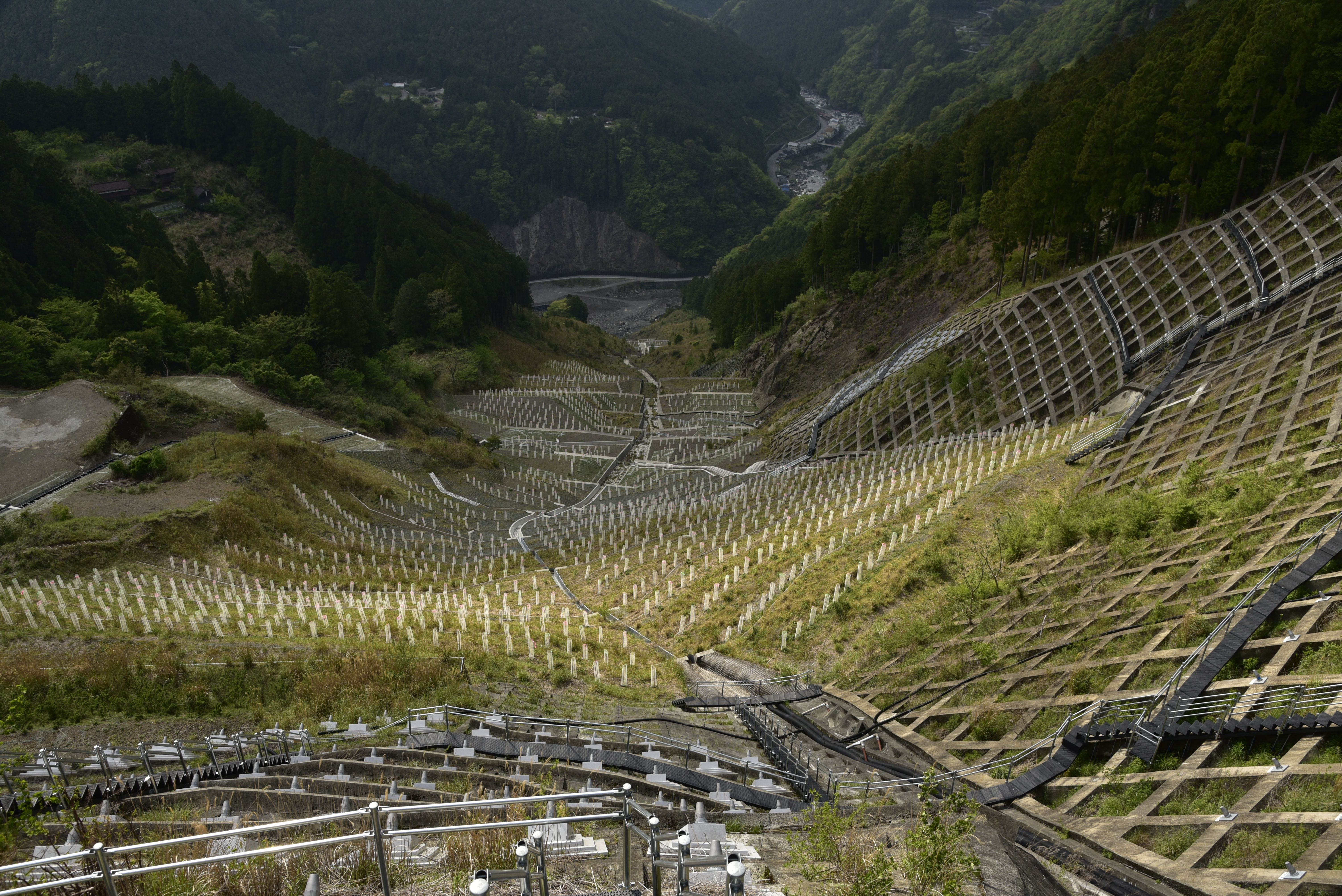 徳島県治山林道協会